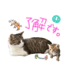 みゅうみゅう2025（個別スタンプ：8）