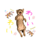 みゅうみゅう2025（個別スタンプ：10）
