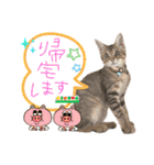 みゅうみゅう2025（個別スタンプ：14）