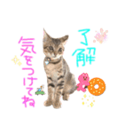 みゅうみゅう2025（個別スタンプ：15）