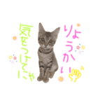 みゅうみゅう2025（個別スタンプ：18）
