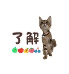 みゅうみゅう2025（個別スタンプ：19）