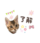 みゅうみゅう2025（個別スタンプ：22）