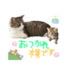 みゅうみゅう2025（個別スタンプ：23）
