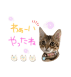 みゅうみゅう2025（個別スタンプ：26）