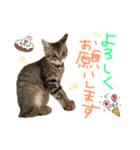 みゅうみゅう2025（個別スタンプ：27）
