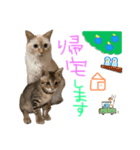みゅうみゅう2025（個別スタンプ：28）