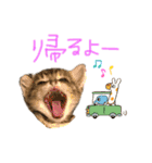 みゅうみゅう2025（個別スタンプ：30）