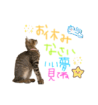 みゅうみゅう2025（個別スタンプ：32）
