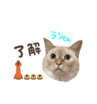 みゅうみゅう2025（個別スタンプ：33）