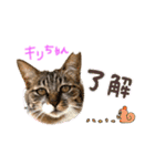 みゅうみゅう2025（個別スタンプ：34）