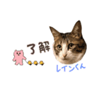 みゅうみゅう2025（個別スタンプ：35）