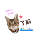 みゅうみゅう2025（個別スタンプ：36）