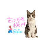 みゅうみゅう2025（個別スタンプ：37）