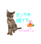 みゅうみゅう2025（個別スタンプ：40）