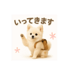 我が家の愛犬(幻覚)（個別スタンプ：2）