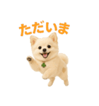 我が家の愛犬(幻覚)（個別スタンプ：4）
