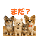 我が家の愛犬(幻覚)（個別スタンプ：6）