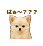 我が家の愛犬(幻覚)（個別スタンプ：8）