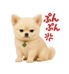 我が家の愛犬(幻覚)（個別スタンプ：9）