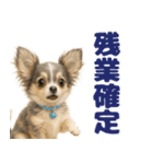 我が家の愛犬(幻覚)（個別スタンプ：10）