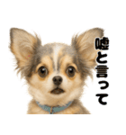 我が家の愛犬(幻覚)（個別スタンプ：11）