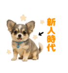 我が家の愛犬(幻覚)（個別スタンプ：12）