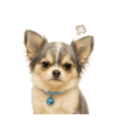 我が家の愛犬(幻覚)（個別スタンプ：13）