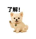 我が家の愛犬(幻覚)（個別スタンプ：15）