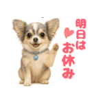 我が家の愛犬(幻覚)（個別スタンプ：18）