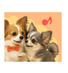 我が家の愛犬(幻覚)（個別スタンプ：25）