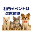 我が家の愛犬(幻覚)（個別スタンプ：26）