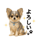 我が家の愛犬(幻覚)（個別スタンプ：30）