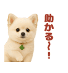 我が家の愛犬(幻覚)（個別スタンプ：32）