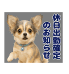 我が家の愛犬(幻覚)（個別スタンプ：33）