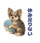 我が家の愛犬(幻覚)（個別スタンプ：36）