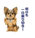 我が家の愛犬(幻覚)（個別スタンプ：37）