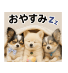 我が家の愛犬(幻覚)（個別スタンプ：38）