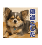 我が家の愛犬(幻覚)（個別スタンプ：39）