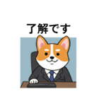 会社員のコーギー（個別スタンプ：1）