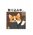 会社員のコーギー（個別スタンプ：5）