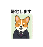 会社員のコーギー（個別スタンプ：24）