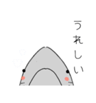 日常的な、さめさん。（個別スタンプ：39）