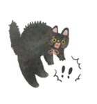適度に頑張らない、くろねこ（個別スタンプ：20）