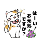 可愛いネコの日常❤️（個別スタンプ：5）