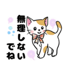可愛いネコの日常❤️（個別スタンプ：31）