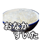 米しか勝たん…おいしいごはん（個別スタンプ：1）