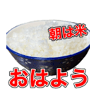 米しか勝たん…おいしいごはん（個別スタンプ：5）