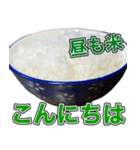 米しか勝たん…おいしいごはん（個別スタンプ：6）