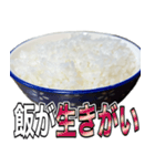 米しか勝たん…おいしいごはん（個別スタンプ：10）